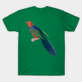 Vibrant Blue Backed Parakeet T-Shirt